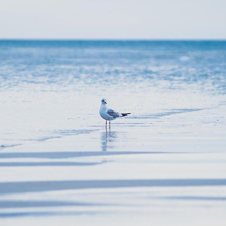 Apartamenty Na Cichej 5 A3 コウォブジェク エクステリア 写真